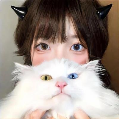 和歌子酒 第5季